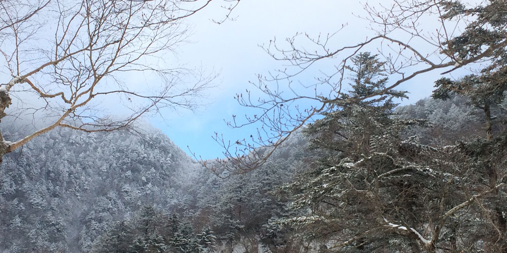 写真：雪山